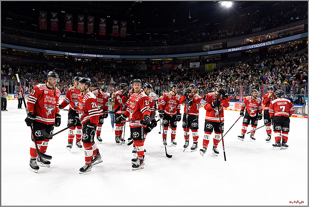 PENNY DEL;  Kölner Haie - Adler Mannheim; Köln, 04.11.2022